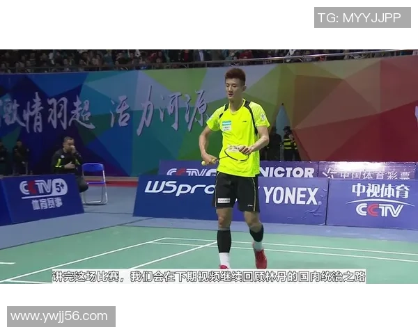 南京羽毛球队与深圳羽毛球队赛后状态分析与复盘探讨