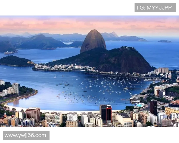 巴西足球明星的璀璨星河与传奇故事全景揭秘