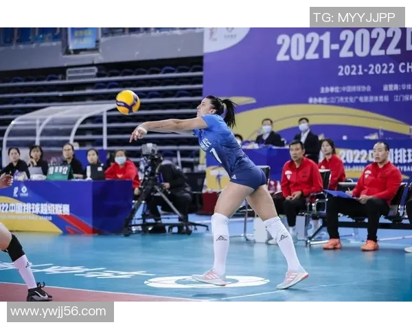 深圳排球队在锦标赛中的技术表现分析与总结