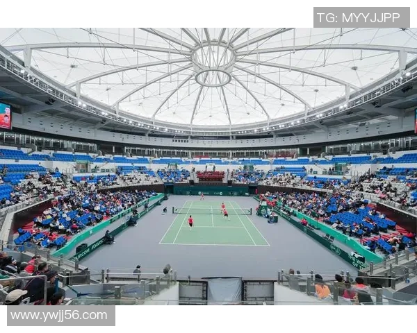 西安网球队在杯赛积分榜上以100分稳居第一名展现强劲实力 西安网球队在杯赛积分榜上以100分稳居第一名展现强劲实力