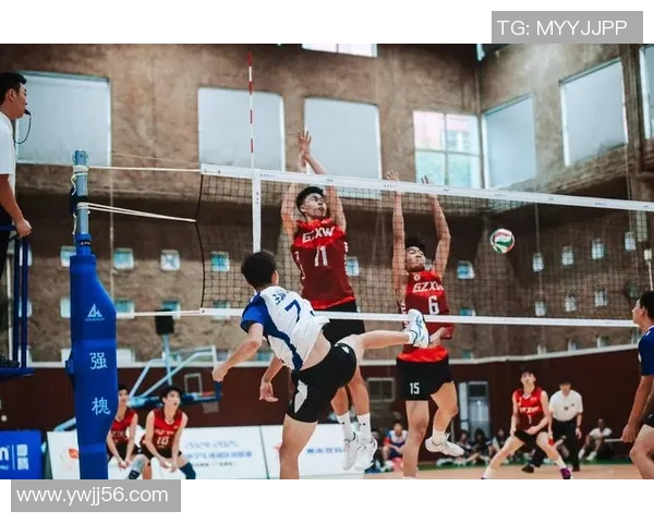 广州排球队实力解析：聚焦排球运动的未来发展与挑战